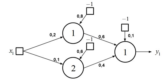 RNA_07.JPG