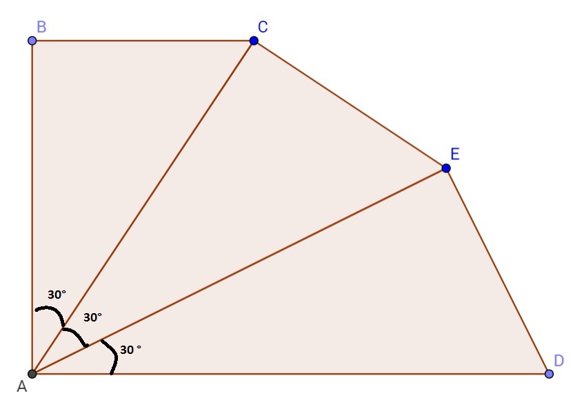 soraia-fig.jpg